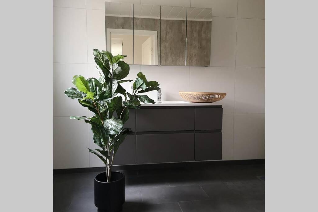 Apartament Gjermundsoya Brygge Ballstad Zewnętrze zdjęcie